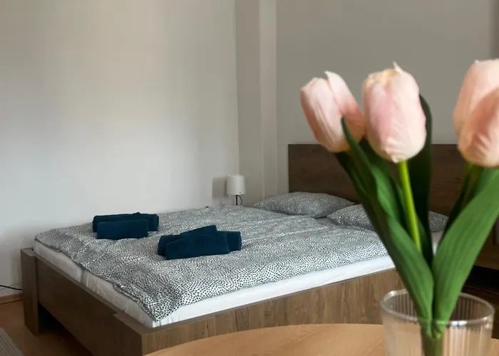 Apartman Vajb