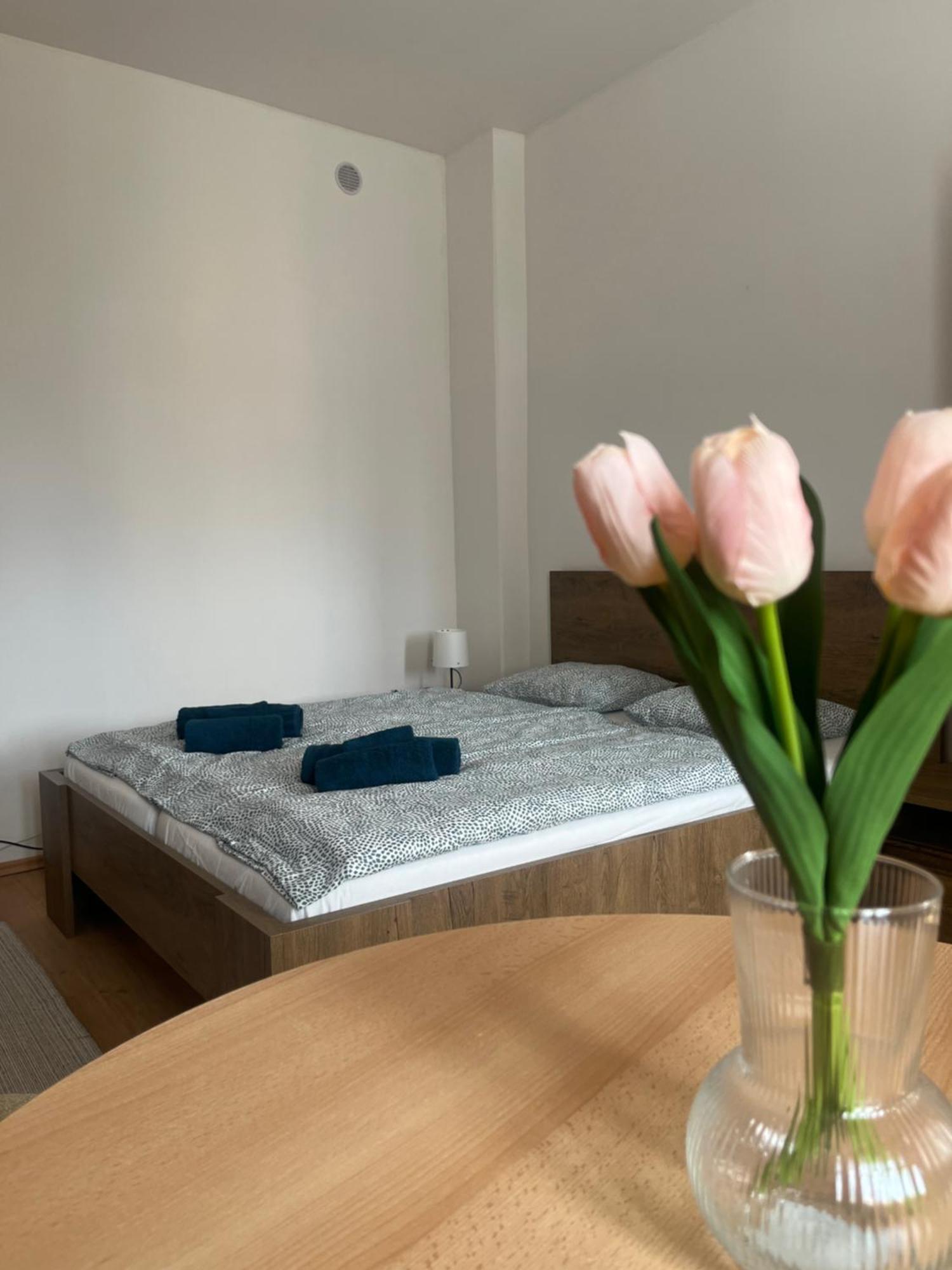 Apartment Vajb Jicin